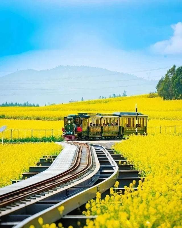 2025云南罗平油菜花赏花全攻略，邂逅春日最灿烂的金色浪漫！