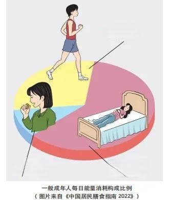 “食不过量”很难做到？这些小妙招可以帮到你！