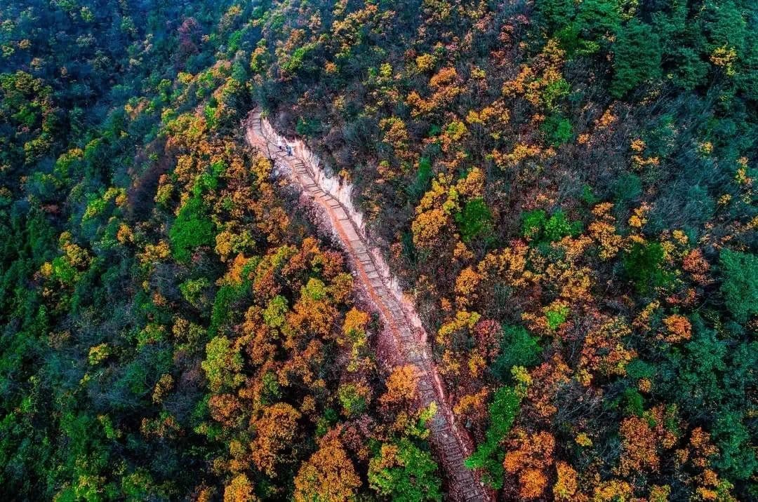 登一座山 望一条古道：千年马岭古道的前世今生