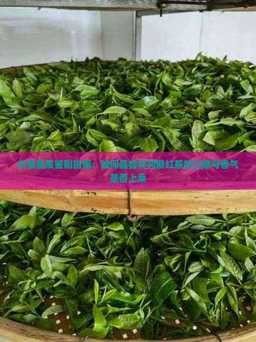 红茶品质鉴别指南：如何品尝并判断红茶的口感与香气是否上乘