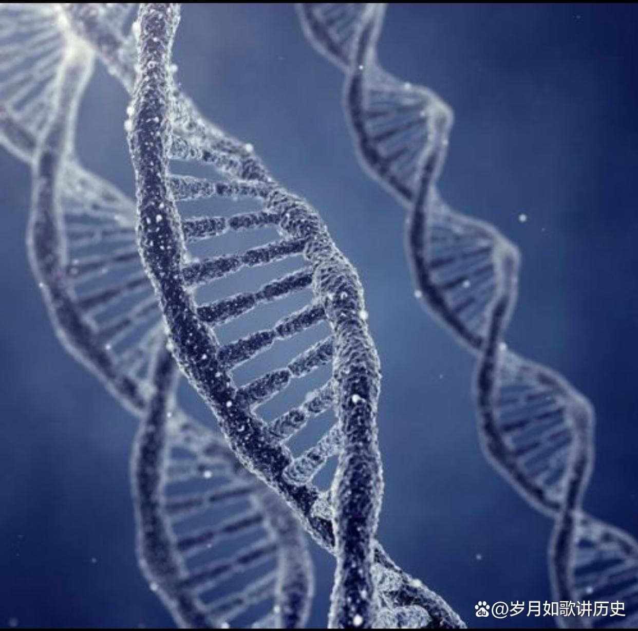 双螺旋的秘密：沃森、克里克与富兰克林的故事