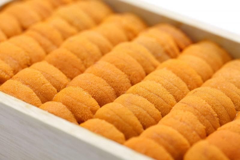 关于海胆7个冷知识  吃什麼部位、味道、料理方式 一次看