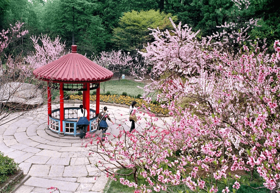 庐山"免票月"背后的文旅突围