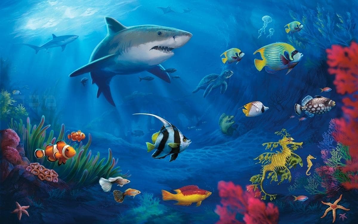 海洋动物：特征、适应和生物多样性
