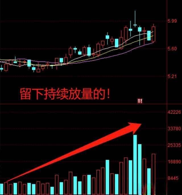 尾盘30分钟选股法：提高投资效率的实用策略