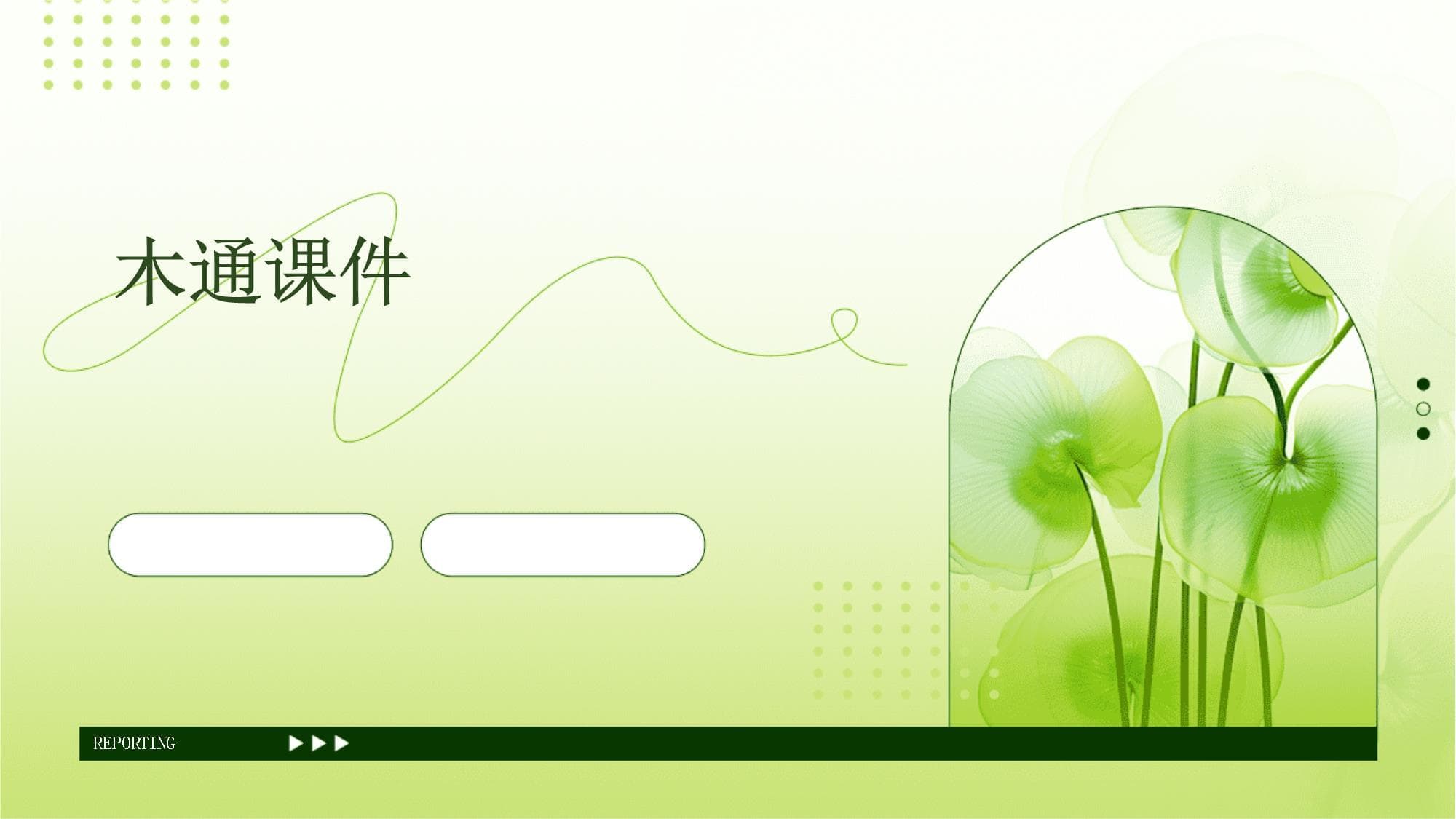 木通植物的全方位解析：从形态特征到实用价值