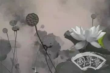 惊人的三大成功定律：荷花定律，竹子定律，金蝉定律