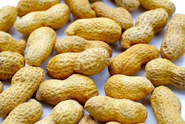 孕期吃花生，好处多还是风险大？一文解读！