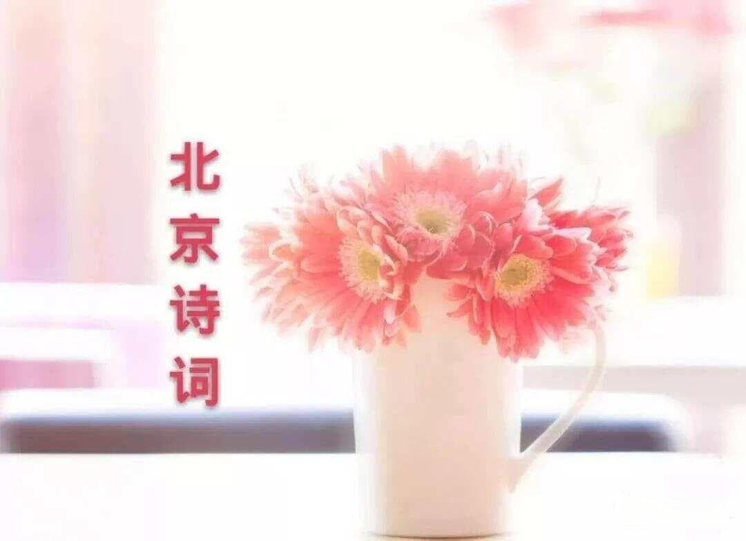 和路口的中药渣说再见