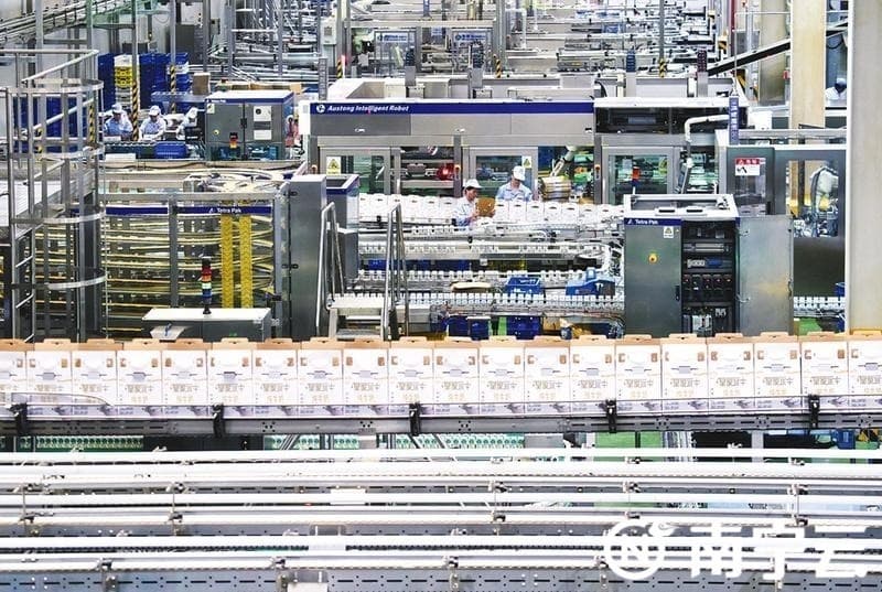 广西乳企智能化转型：从传统生产到全产业链数字化升级