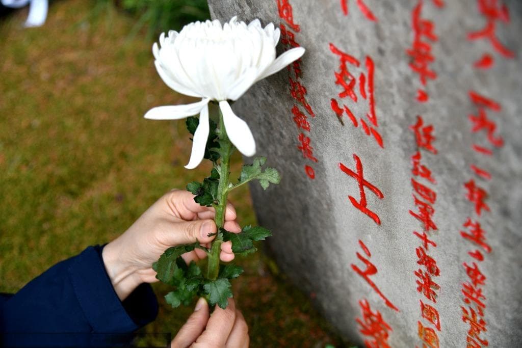 清明习俗知多少
