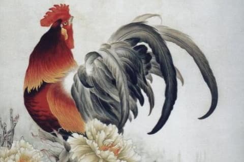 属鸡2024年的运势及运程，属鸡人2024年每月运势完整版！