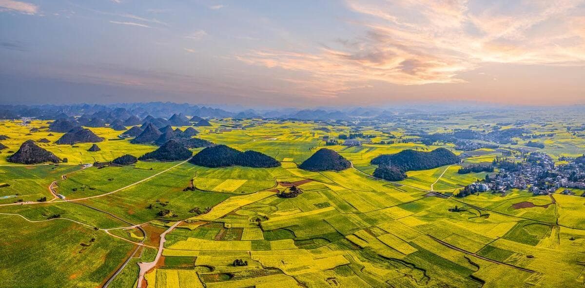 不只云南罗平，从春天到盛夏，中国有这么多震撼的油菜花观赏地