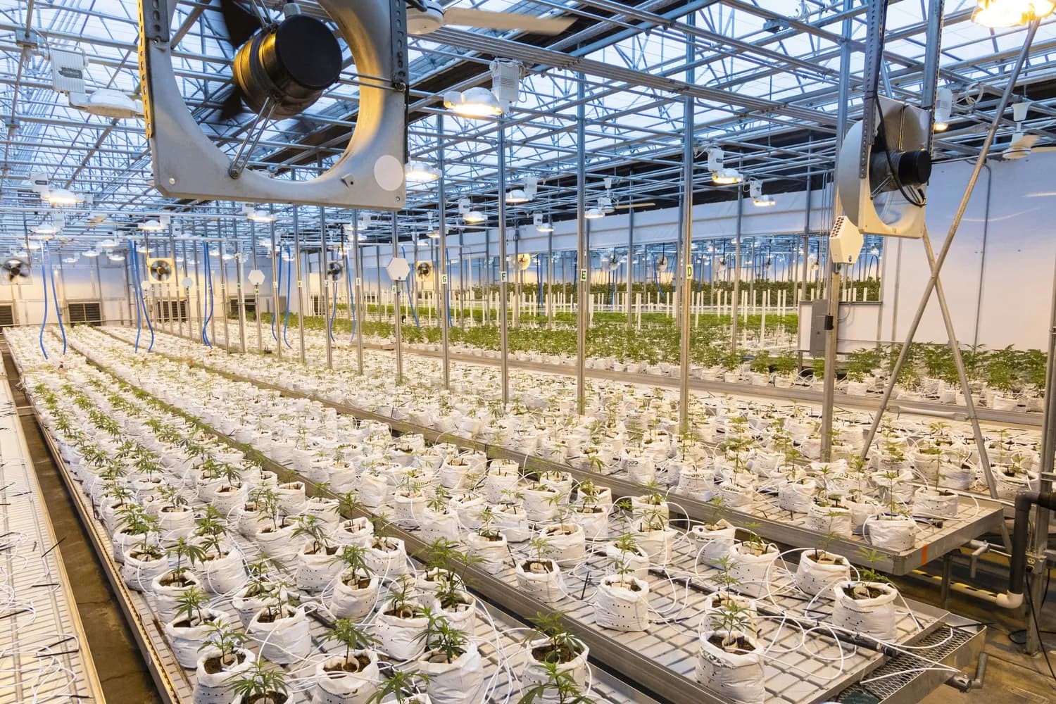 智慧农业物联网：大数据如何改变种植业？