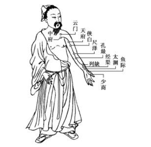 中医必备知识：十二经脉详解
