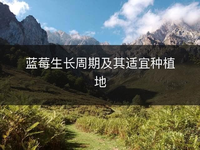 蓝莓生长周期及其适宜种植地