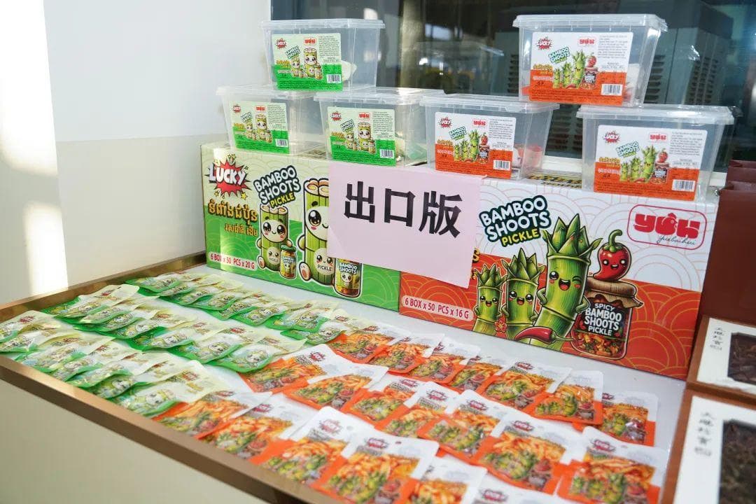 首次突破600亿元！清远都做了些什么？
