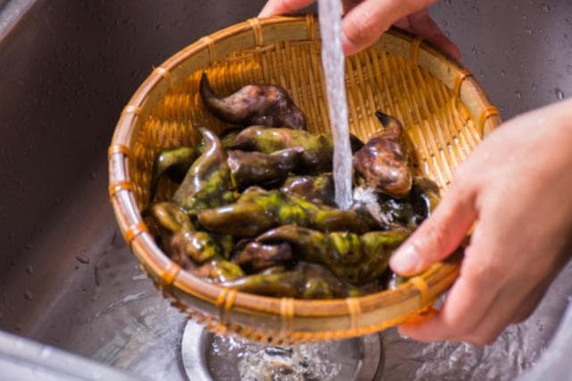 菱角種植技術與方法