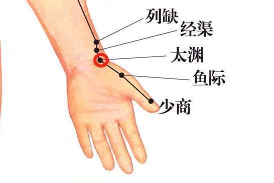 秋季干燥？按摩渔际穴护肺有奇效