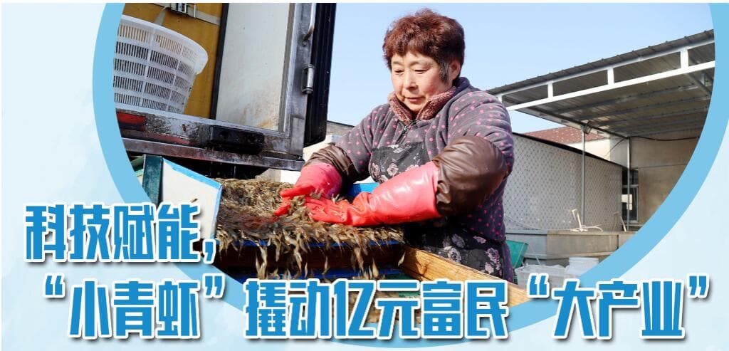 科技赋能， “小青虾”撬动亿元富民“大产业”