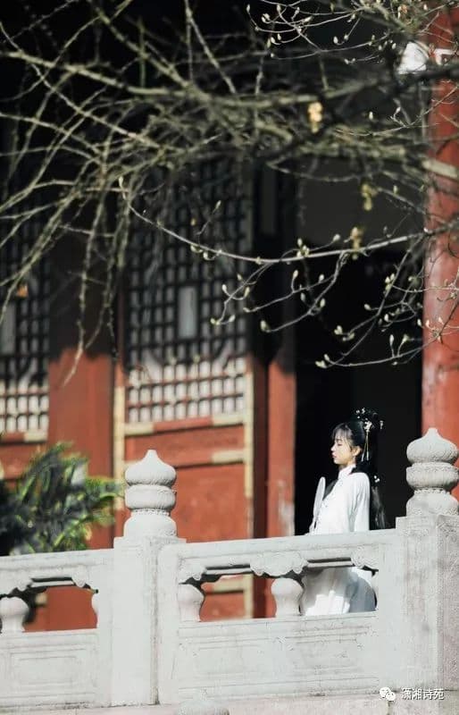 揭秘“朝天阙”：背后的深邃含义与文化渊源
