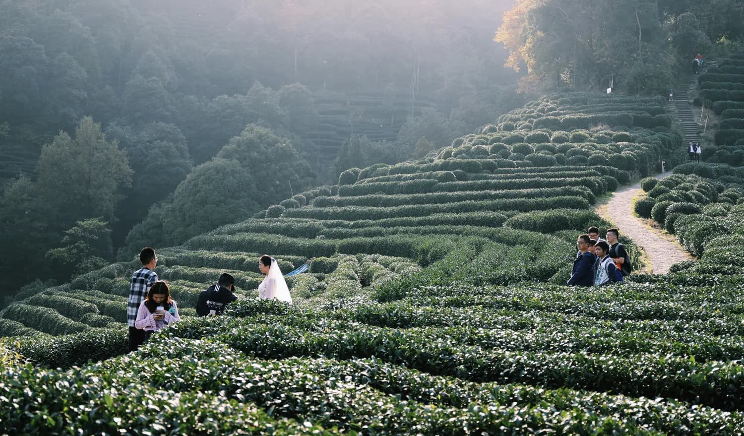 南京过年限定下午茶攻略：蜜语花园&茶语时光