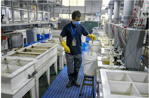 电镀厂QMS质量管理系统：从基础到应用的全面解析