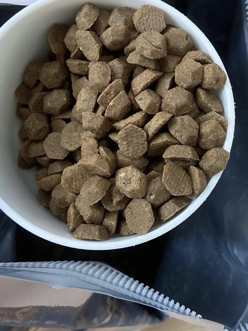如何选择合适的狗粮