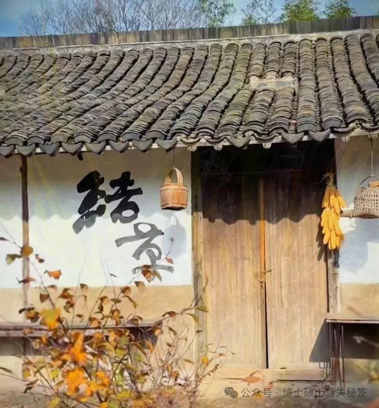 读博士的经济收益分析