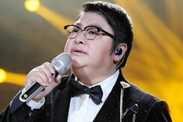 中国十大高音女歌手排名：韩红上榜，第三是文艺界十大影响力人物