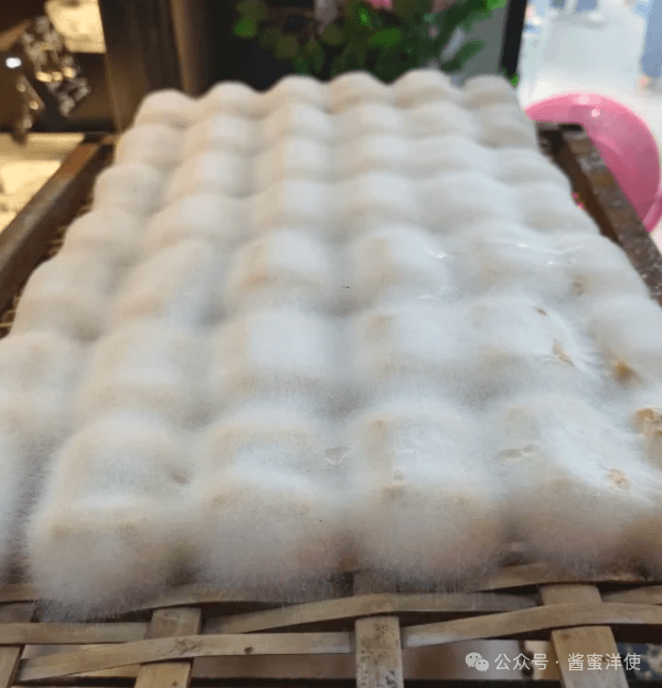 安庆迎江区的十大徽菜小吃：从毛豆腐到徽州红烧肉，带你领略地道古城风味！
