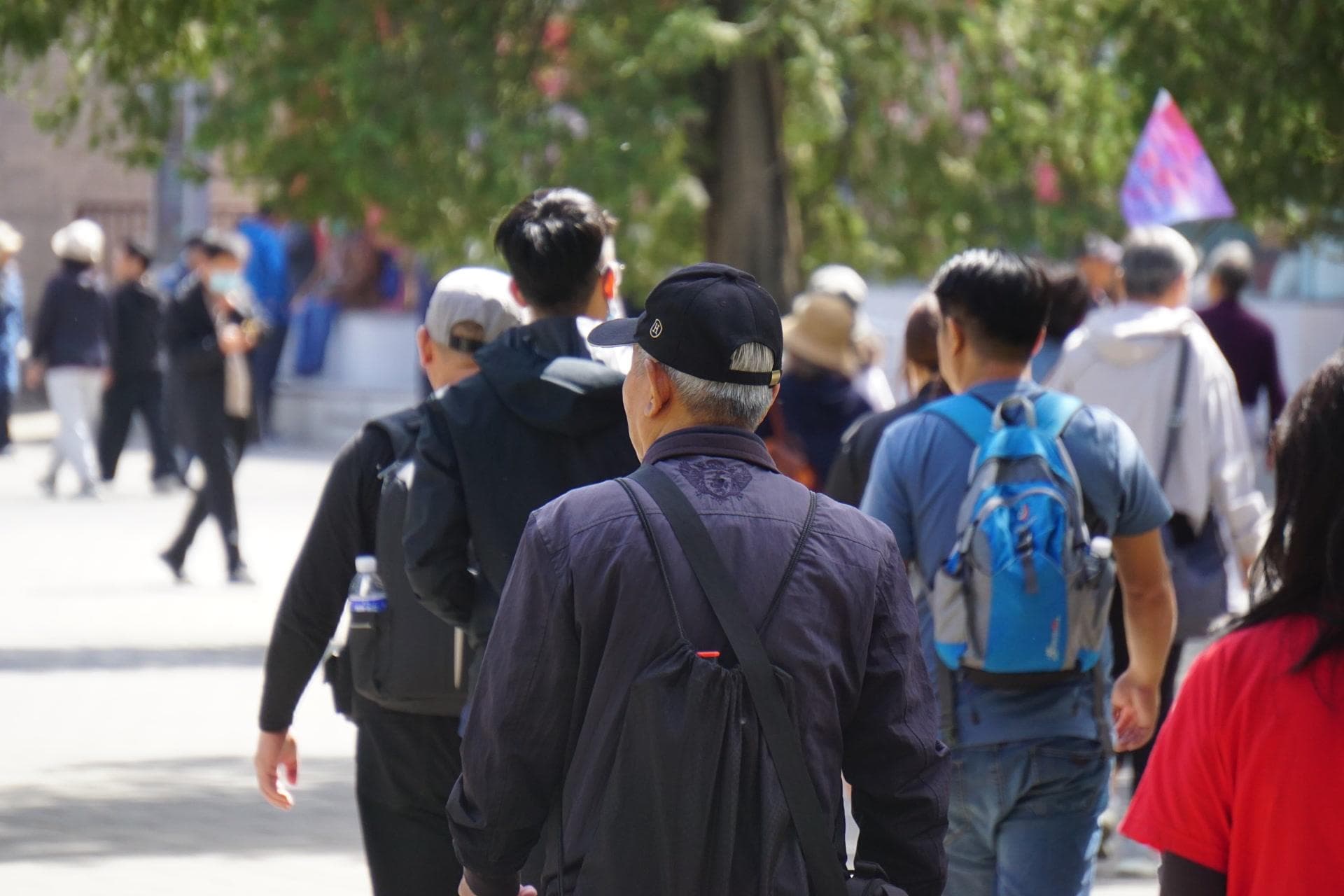 70岁以上老人独立跟团游“困难重重”？这些限制该破吗