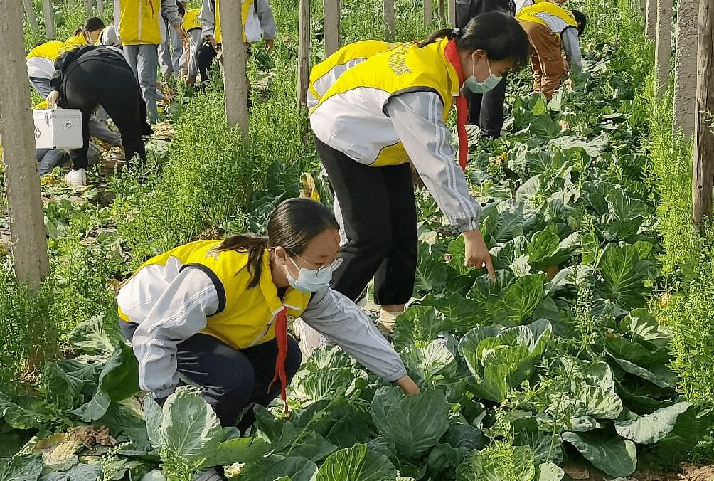 如何建立良好师生关系？这7个方法你可以试试！