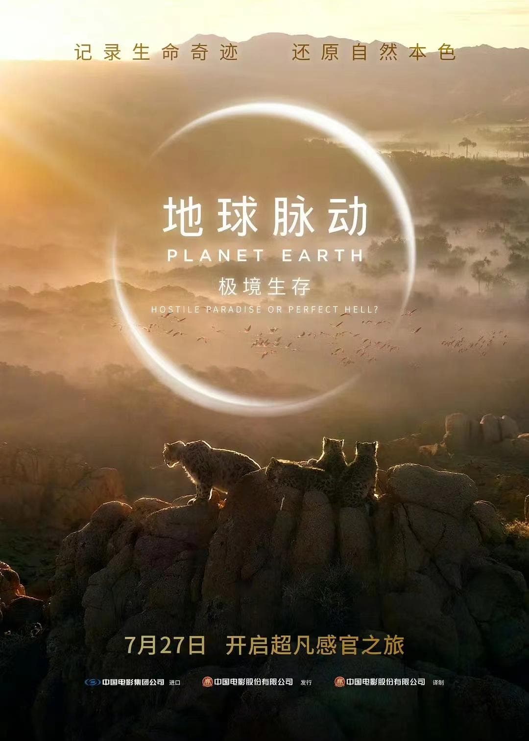 《地球脉动》纪录片：大银幕上的自然奇观