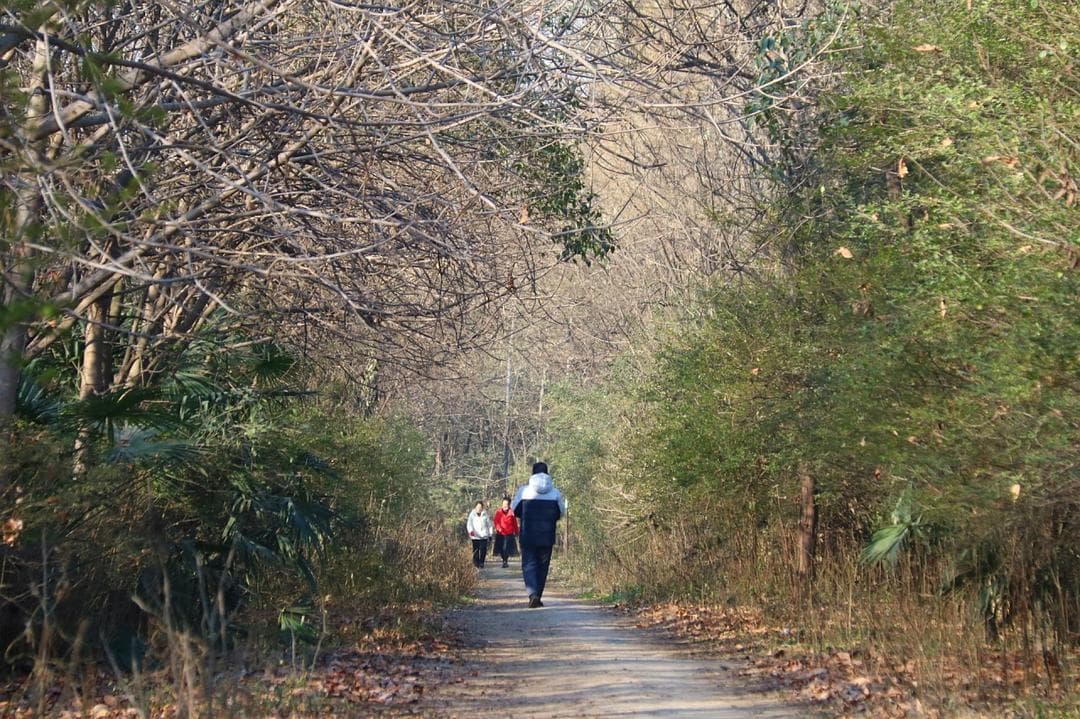 西安被低估的出游宝藏地：两个世界吉尼斯纪录，尽显秦文化魅力