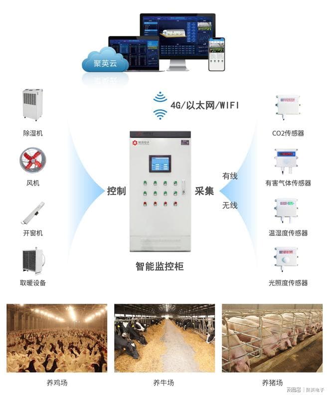 智能鸡舍环境控制系统，推动养殖业可持续发展