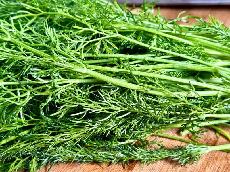 「茴香炒鸡蛋」极简美味下饭菜