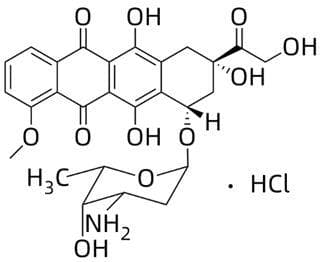 多柔比星脂质体的使用说明：从药理机制到临床应用