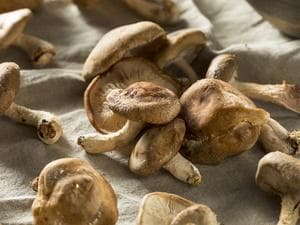 谷胱甘肽含片药理机制
