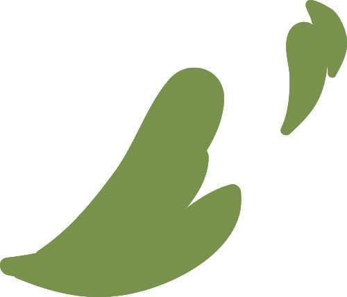 勐海普洱茶历史文化概述