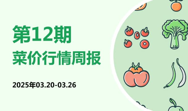 镇宁小黄姜产业分析简报