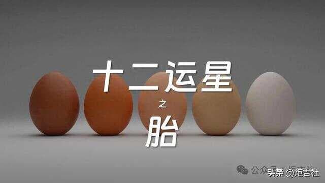 十二运星【胎】的含义：性格、职业、爱情与运势全面解析
