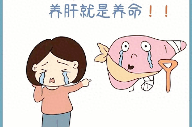 养肝清肝“三巨头”：逍遥丸、龙胆泻肝丸、柴胡舒肝丸，该如何选择？