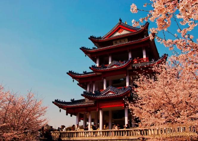 江苏十大特色小吃，道道美味可口，色香味俱全