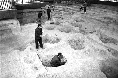 测年技术：重建10万年间水稻从野生到驯化演化史