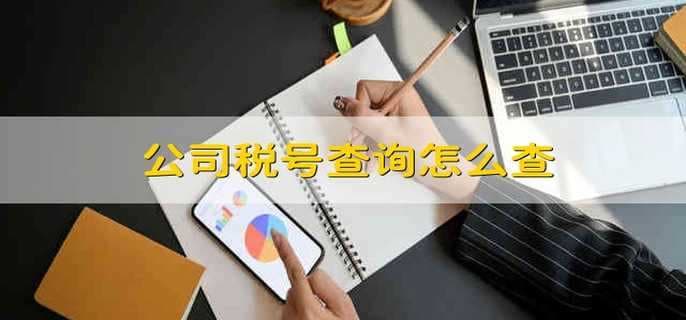 公司税号查询指南：六种实用查询方法详解
