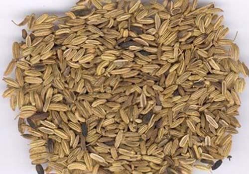 小茴香：餐桌上的调味品，养生保健的好帮手