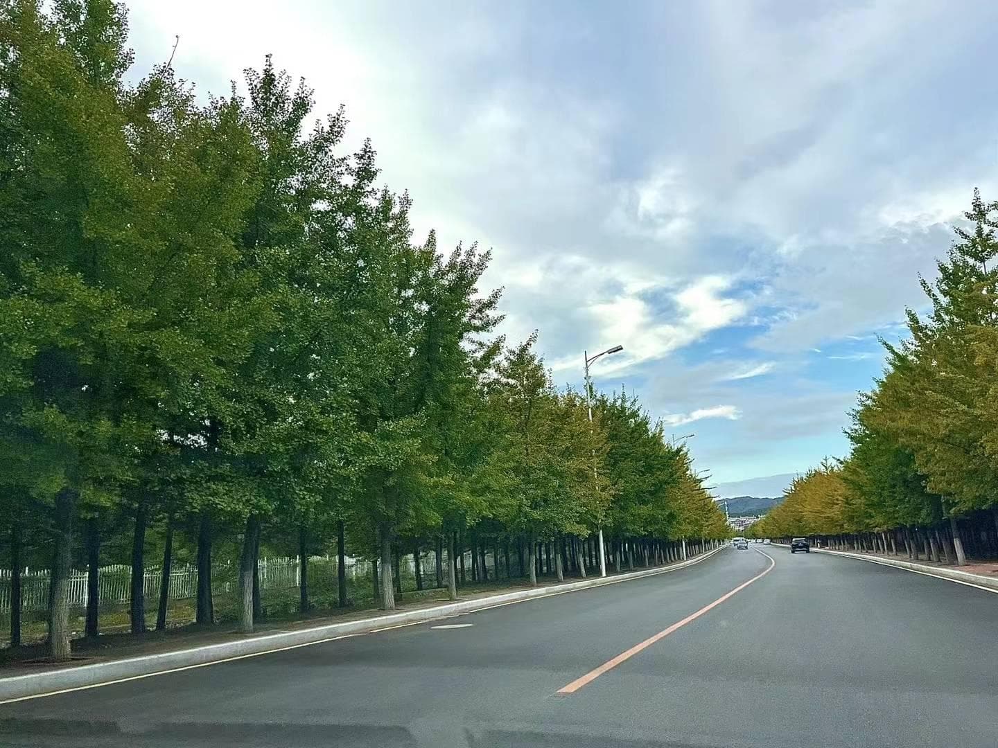 刚毕业买二手车不丢面，关键看你怎么选，选车一定要懂