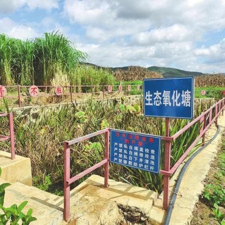 废水如何变"肥水"——农村生活污水资源化利用的云南实践
