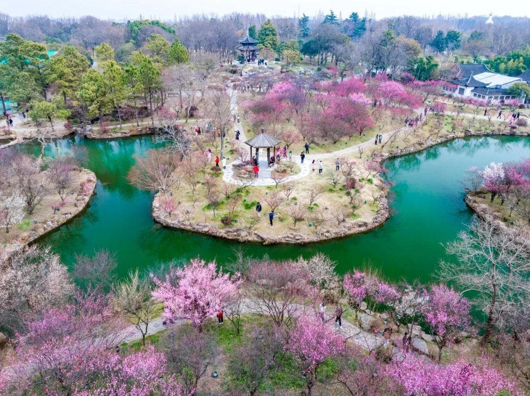 2025全国早春赏花地图来了！“浙”里春日限定浪漫等你解锁
